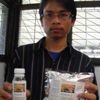 Racikan Jamur Kayu untuk Menurunkan Kolesterol