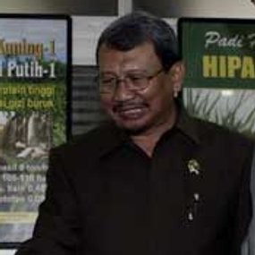 Mentan: Pasokan Pupuk Urea 2009 Kurang