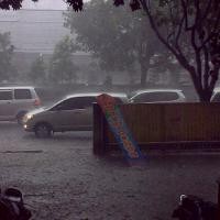 Hujan Angin Sebabkan Beberapa Pohon Tumbang di Bandung
