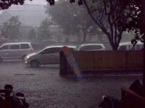 Hujan Angin Sebabkan Beberapa Pohon Tumbang di Bandung