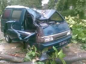 Dinas Pertamanan Bandung Siaga Pohon Tumbang
