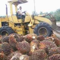 BNI Salurkan Kredit Agribisnis Rp 4,71 Triliun 
