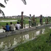 Tambak Meluber, Warga Ramai-ramai Mancing