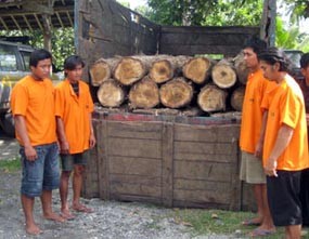 Komplotan Pencuri Kayu Jati Dibekuk