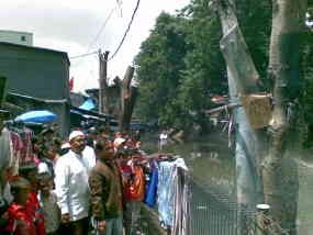 Warga Dengar Rintihan Beringin Menangis Tiap Malam