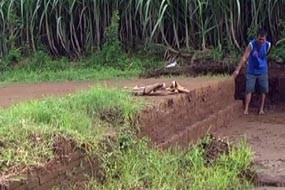 Situs Permukiman Majapahit Kembali Ditemukan