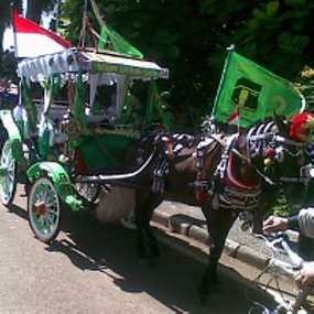 Kusir Delman Berharap Bisa Ngais Rezeki Saat Kampanye