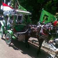 Kusir Delman Berharap Bisa Ngais Rezeki Saat Kampanye