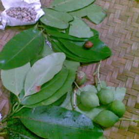 Energi Alternatif Dari Pesisir Pantai Papua