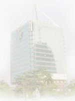 Belum Dua Tahun Kayu-kayu di Mahagoni Park Dimakan Rayap 