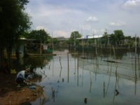 Warga Sekitar Situ Sasak Pamulang Tak Khawatir Longsor