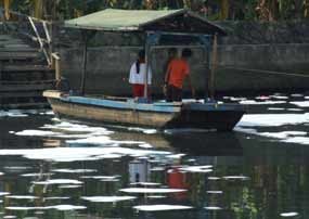 Jakarta dan Kota yang Sakit (5-habis)