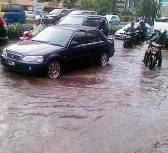 Kuningan Padat Merayap