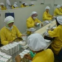 Kinerja Perusahaan Farmasi di 2008 Tumbuh Tipis