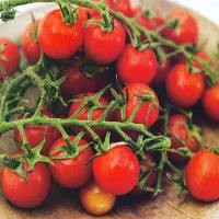 Lima Buah dan Sayur Merah yang Dahsyat Buat Tubuh