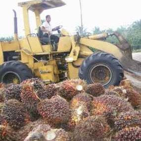 GZCO Bantah Tudingan Investor Soal Lahan 30 Ribu Hektar
