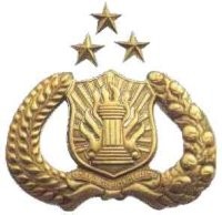 Terimakasih Pada Sekuriti Mediterania Garden Residence II