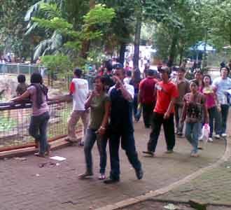 Liburan Pemilu Ragunan Ramai