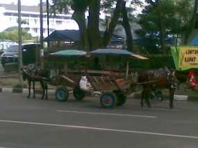 Tukang Delman Soreang Ekspansi ke Gedung Sate