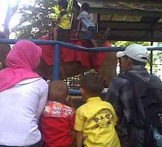 Bonbin Bandung di Akhir Pekan