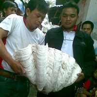 Penasaran, Warga Datangi Rumah Penemu