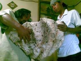 Cangkang Kerang Raksasa Pernah Ditemukan 3 Tahun Lalu