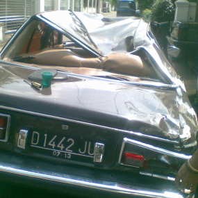 Suara Pohon Tumbang Terdengar Hingga Radius 200 Meter