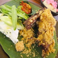 Warning Bebek yang Membuat Ketagihan!