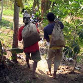  Berebut Tanah Berharap Emas