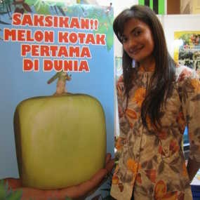 Melon Kotak, Rekayasa Genetik Baru di Mekarsari