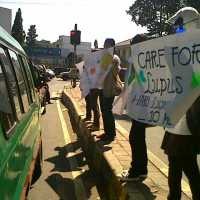 SDF Sosialisasikan Lupus di Jalan Dago 