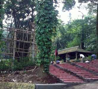 Kandang Macan Berpohon Tengah Dibangun