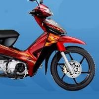 TVS Buka Sayap ke Palangka Raya