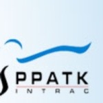 PPATK Terima Tiap Bulan 1.310 Laporan Mencurigakan 
