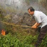 Riau Dikepung Kabut Asap, Bandara SSK II Sempat Ditutup