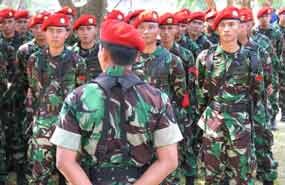Banyak Pihak Ingin Tarik dalam Pilpres, TNI Tetap Netral