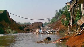 5 Ribu Pohon Ditanam di Situ Gintung