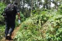 Pencarian 5 Pendaki Gunung Ciremai Libatkan Paranormal