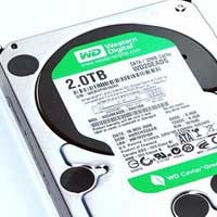 Hardisk Western Digital Tembus 2 TeraByte