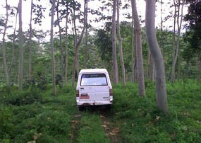 5 Siswa Ditemukan Selamat di Sekitar Air Terjun Darungan