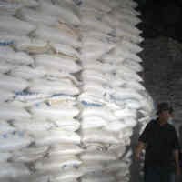 PTPN X Gandeng 4 BUMN Danai Petani Tebu Rp 180,5 Miliar