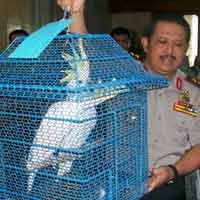 Polisi akan Tindak Tegas Penjual Satwa Liar