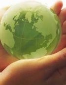 Capres, Cawapres, dan Lingkungan 