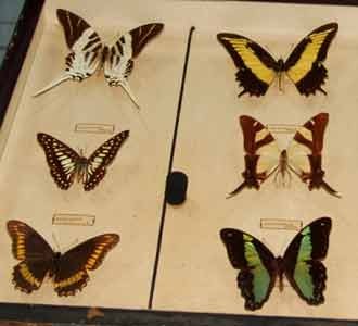 Melihat Flora-Fauna Maroko
