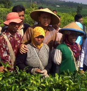 Petani Teh Curhat ke Boediono