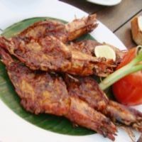 Makan Siang Gratis dari Ancol Jimbaran