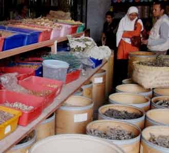 Toko Jamu Babah Kuya