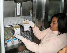20 Kantong Darah Terinfeksi Penyakit Berbahaya