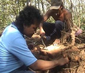 Situs Majapahit Kembali Ditemukan