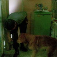 Anjing Pelacak Diterjunkan ke TKP